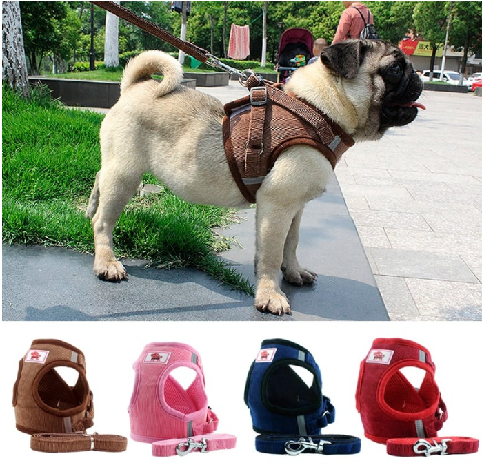 CozyStep™ — Corduroy No-Pull Harness & Leash Set for Dogs