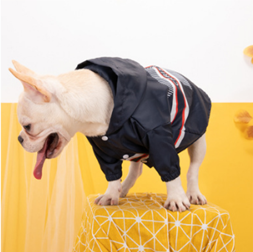 Thumbnail: Lil' Voyager™ — Striped Hooded Windbreaker for Dogs