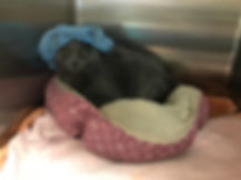 image1.jpeg