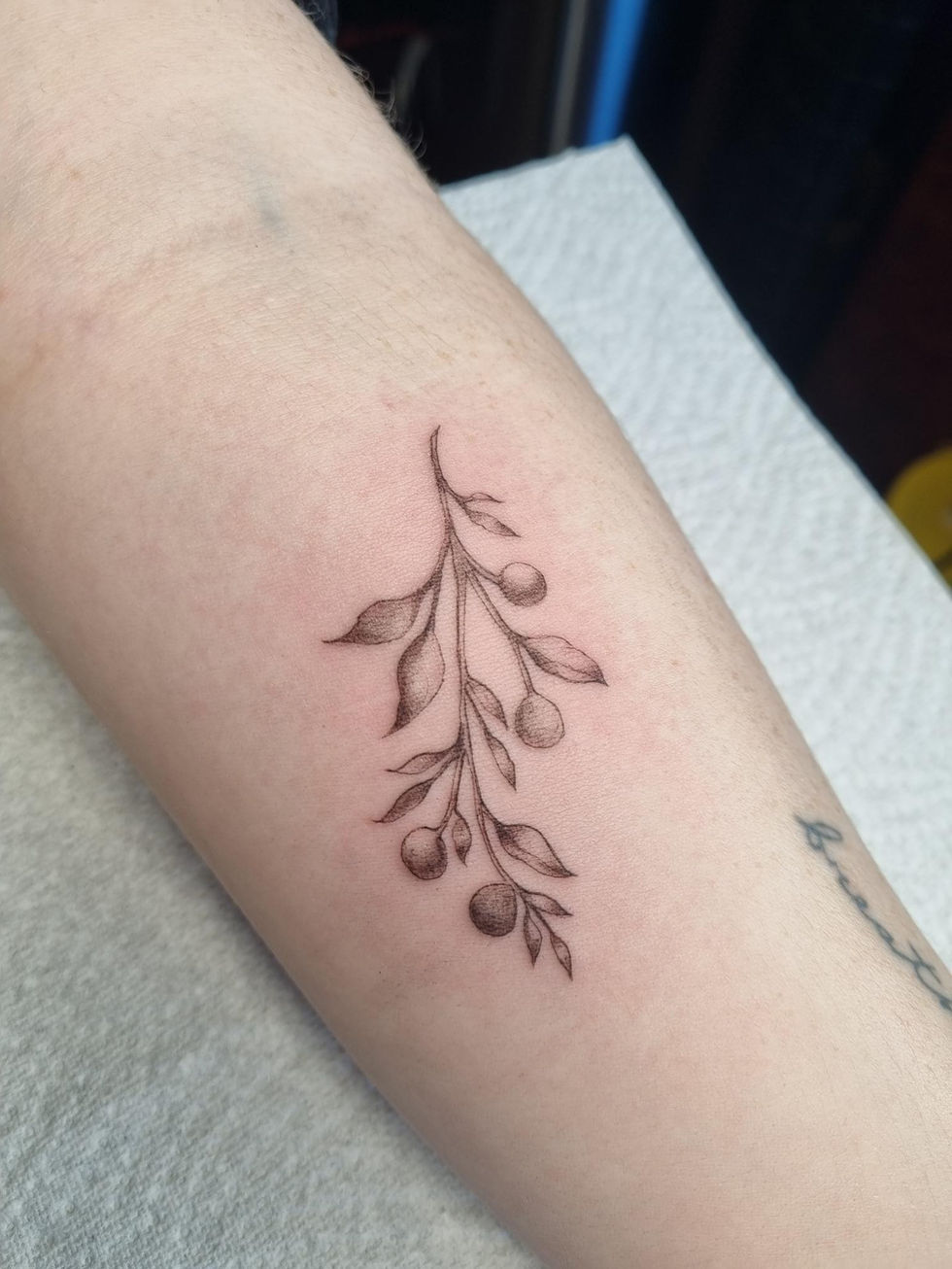 fineline tattoo artist
suzetattoos
suzetattooartist
suze tattoo artist
londontattoo artist
london tattoo artist
fineline tattoo artist
fine lines tattoo
fine line tattooing