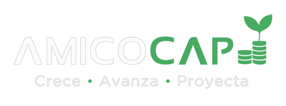 lOGOS AMICOCAP.png