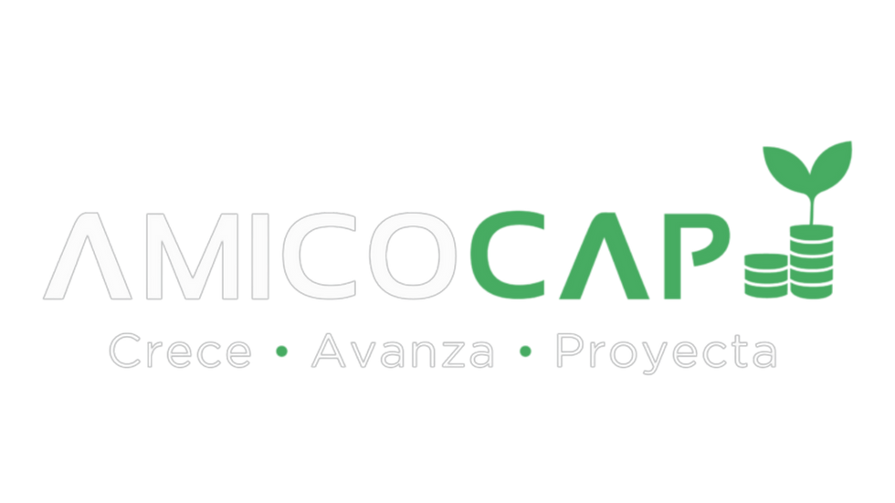 lOGOS AMICOCAP.png