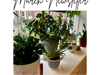It's time for our March Newsletter 🍀