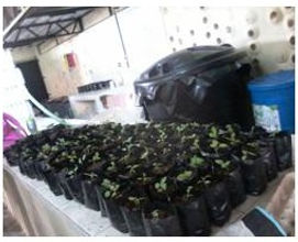 Fertilizantes Ecopatria
