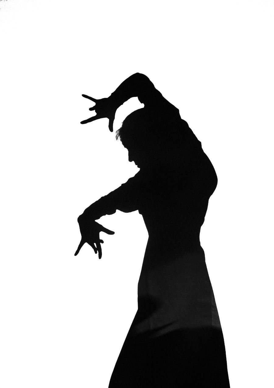 Siguiriya shadow work