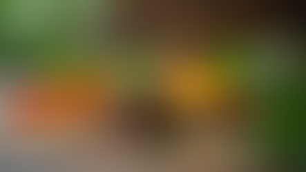 Effective Techniques for Natural Healing