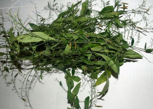 Goan Traditional Health Rituals!