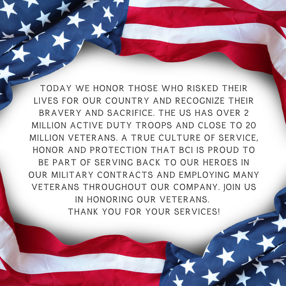 Copy of Veterans Day Post (1).png