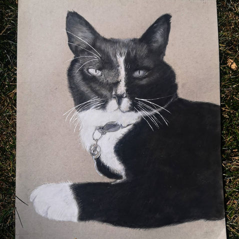 Realistic portrait of a black cat with a white neck and a white nose bridge