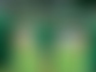 América-MG precisa vencer o Guarani-PAR para avançar na Libertadores; veja o cenário