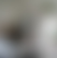 Update sur la rentrée