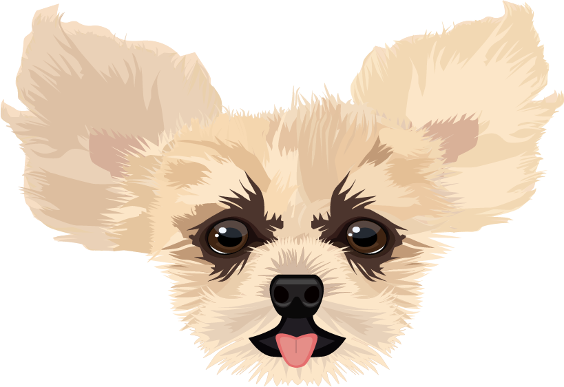 Coastal Bend Small Breed Rescue