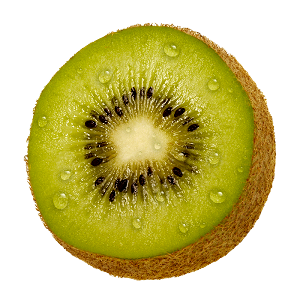 Mimikatz Kiwi Logo
