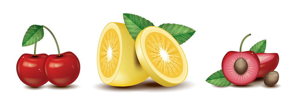 Vector Fruit