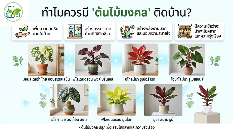 ทำไมเราควรมี “ต้นไม้นำโชค” ติดบ้าน? ปลูกแล้วเฮง เสริมโชคลาภให้ชีวิต 🌿🍀