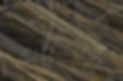 _ELC5211_edited.jpg