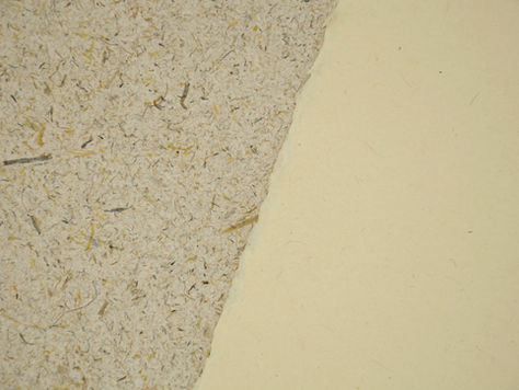 Pīngao and Carex Paper