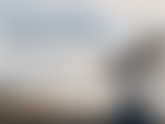 The Rise of the Insight Committee