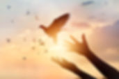 Woman-praying-and-free-bird-enjoying-nat