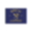 Untitled design (95).png