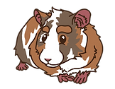 2.png