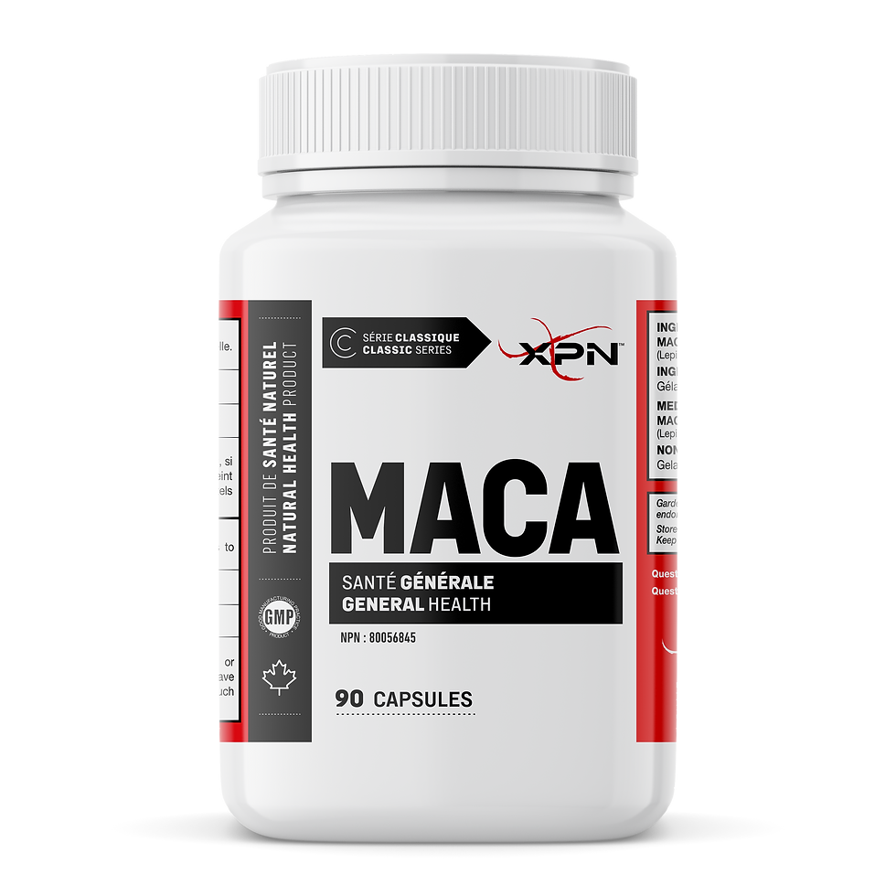 XPN - MACA