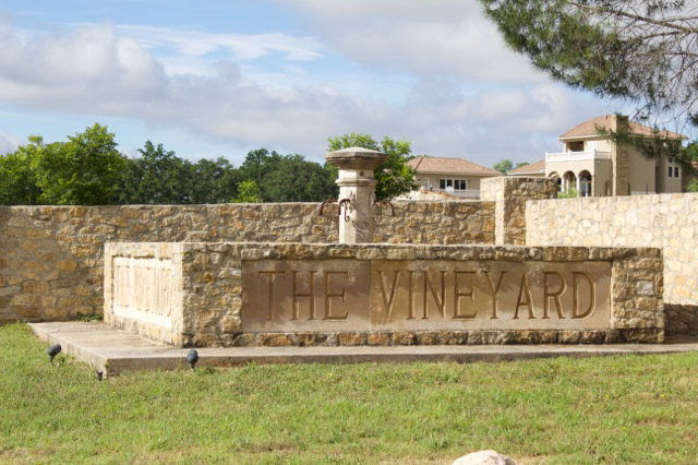 Vineyard 1