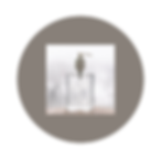 Untitled design (2).png