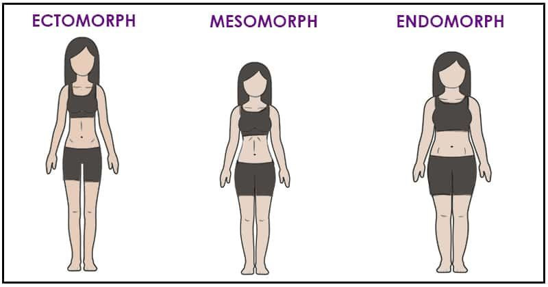 Body type