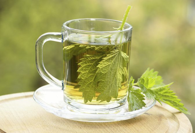 nettle tea