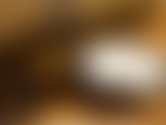 Why Past Life Regression Matters: Healing Old Wounds to Transform This Lifetime