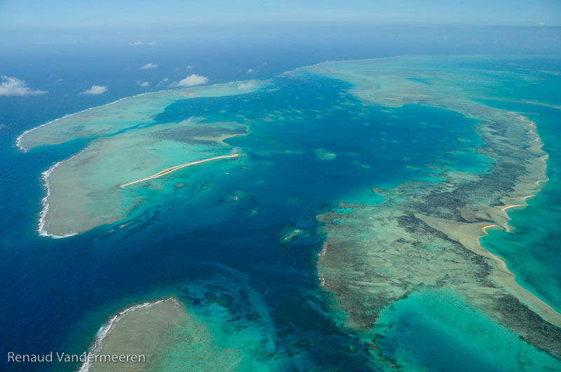St Brandon Atoll Fishing Charters