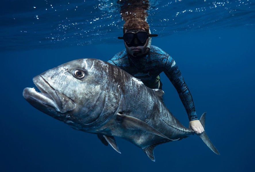 Spearfishing Charters Latham Island Zanzibar, Tanzania