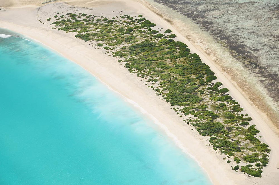 St Brandon Atoll Fishing Charters