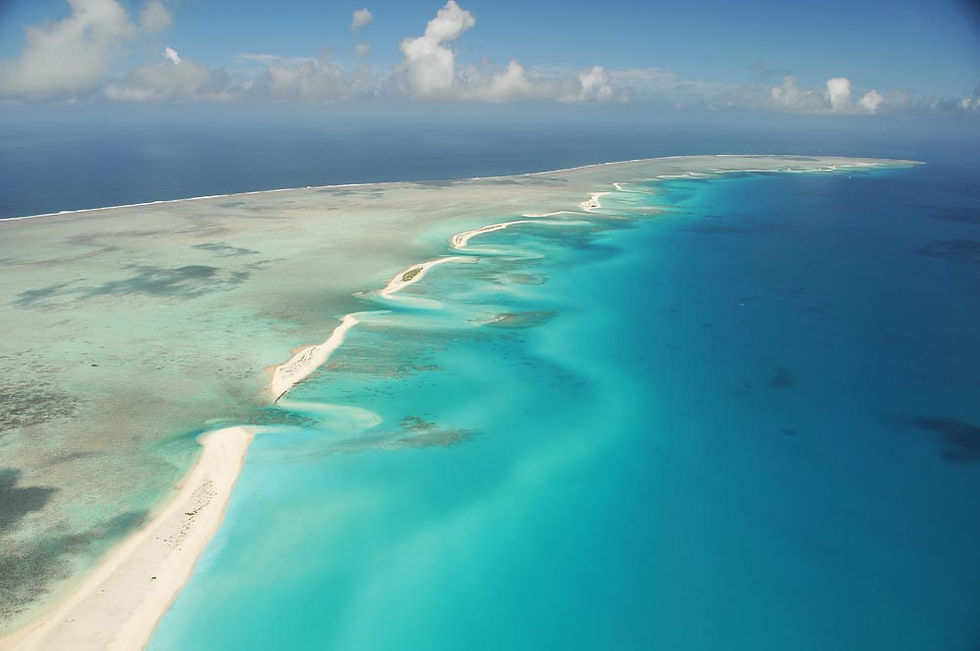 St Brandon Atoll Fishing Charters