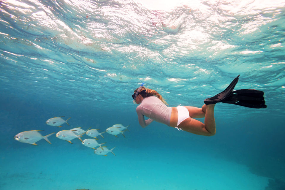 Amirantes Seychelles Fishing Charters