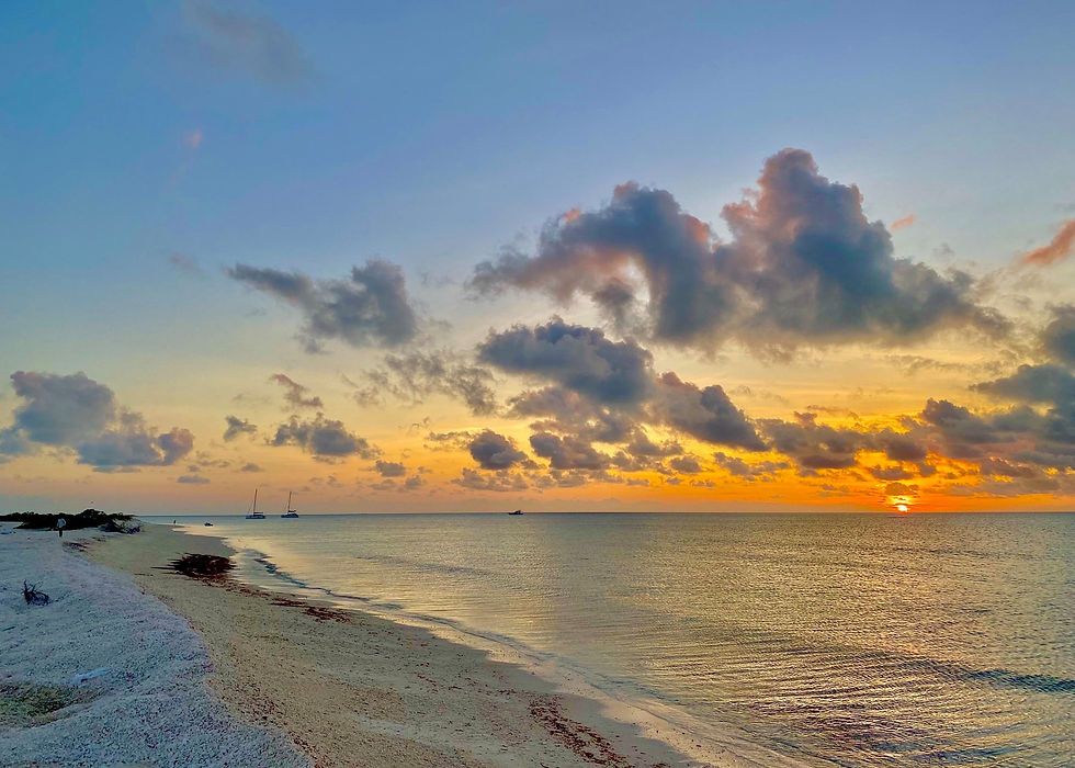 St Brandon Atoll Fishing Charters