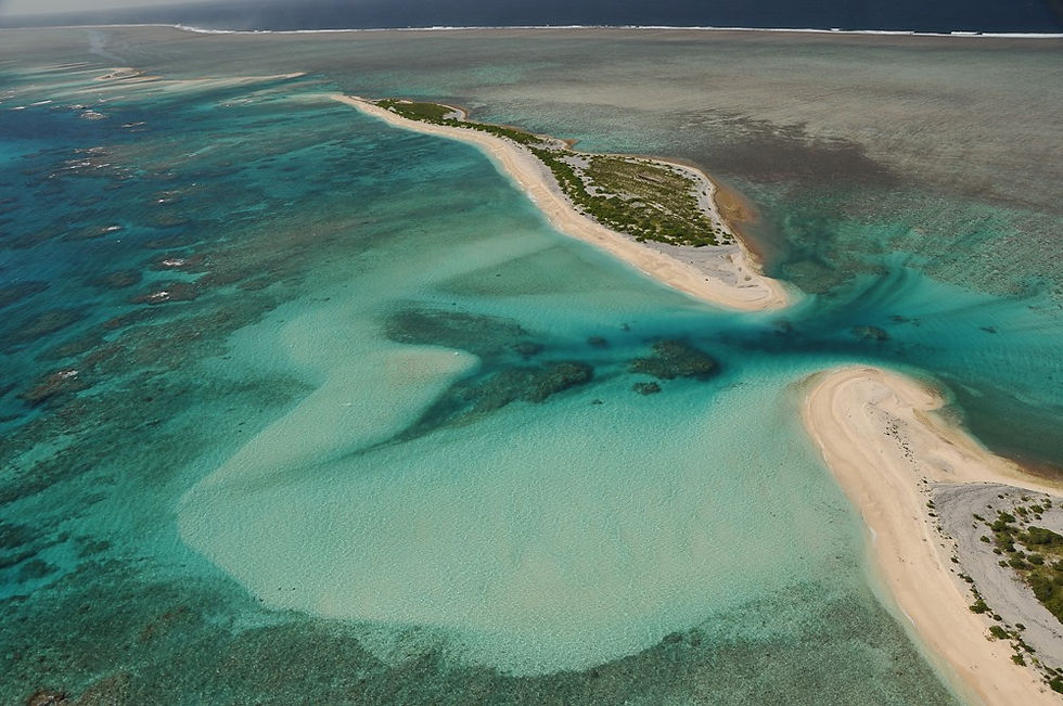 St Brandon Atoll Fishing Charters