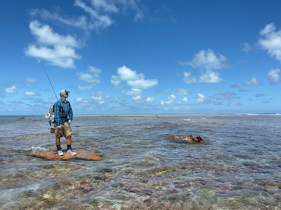 St Brandon Atoll Fishing Charters