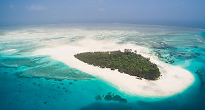 Mnemba Island Day Cruise