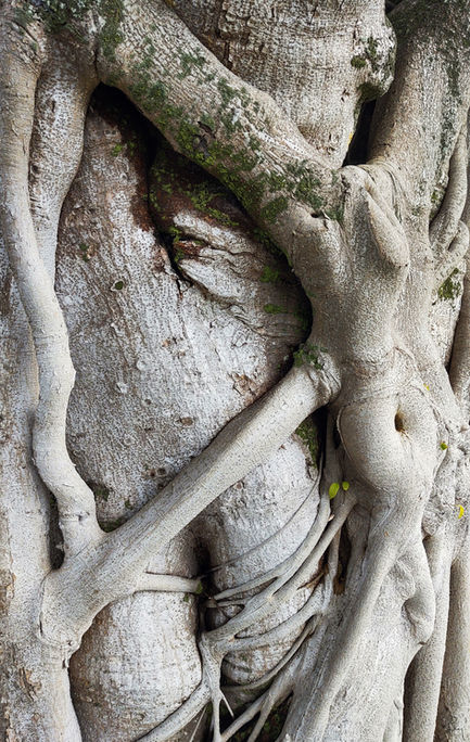 Of Human Bondage image