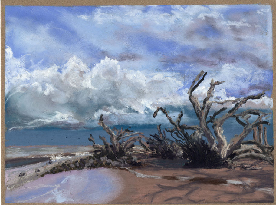 Driftwood Beach on Jekyll Island Art