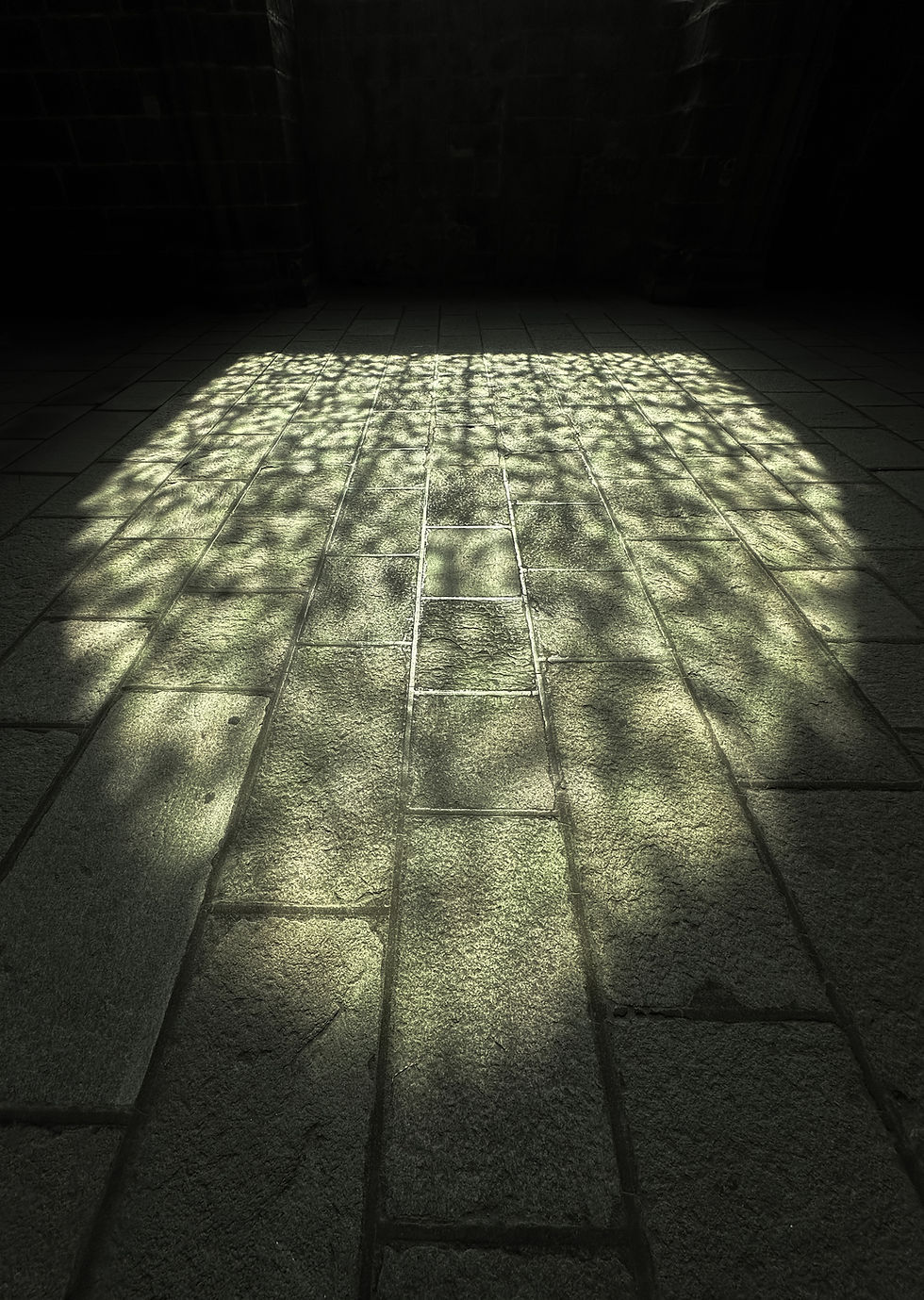 Receive & Transmit image