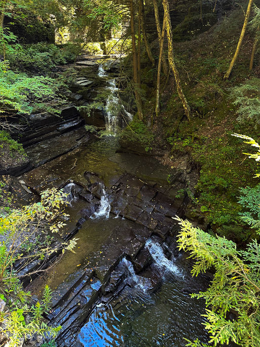 Descending Fillmore Glen image