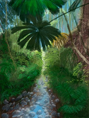 Daintree Rainforest Creek (Australia) image