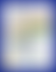 VT Seva Detroit 76th Independence Day Celebration