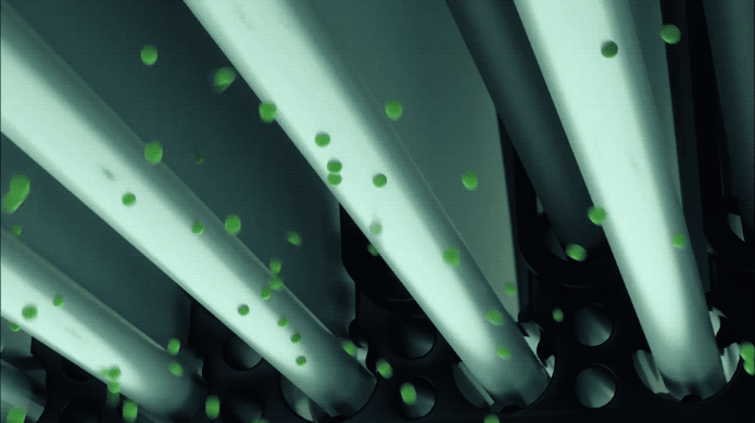 pf-7b36b003--35d2c1b15dd13bf2.gif