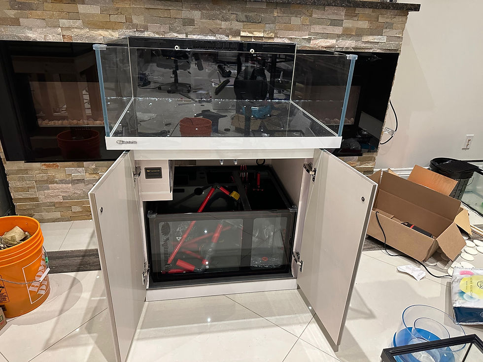 Thumbnail: Neptunian Cube L90 Lagoon Aquarium