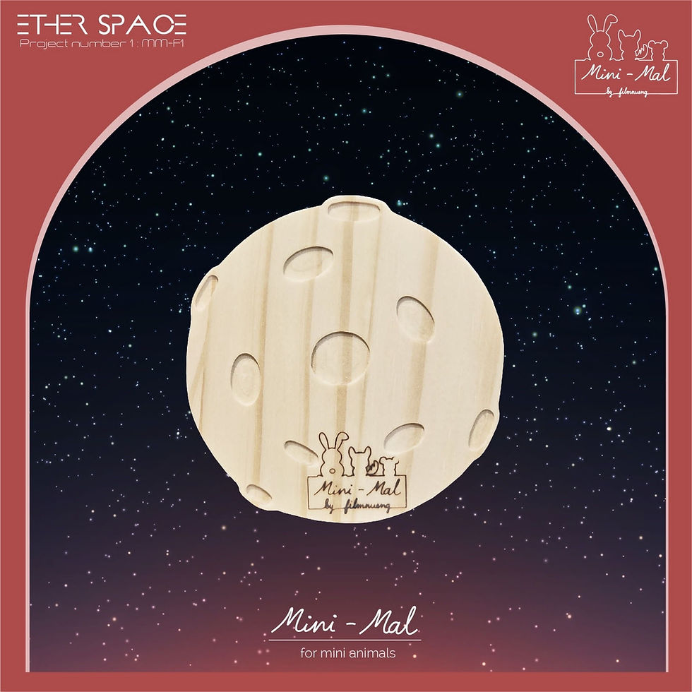 縮圖：Mini-Mal by FN | 磨牙及佈置玩具 | SPACE II 太空II 主題裝飾玩具
