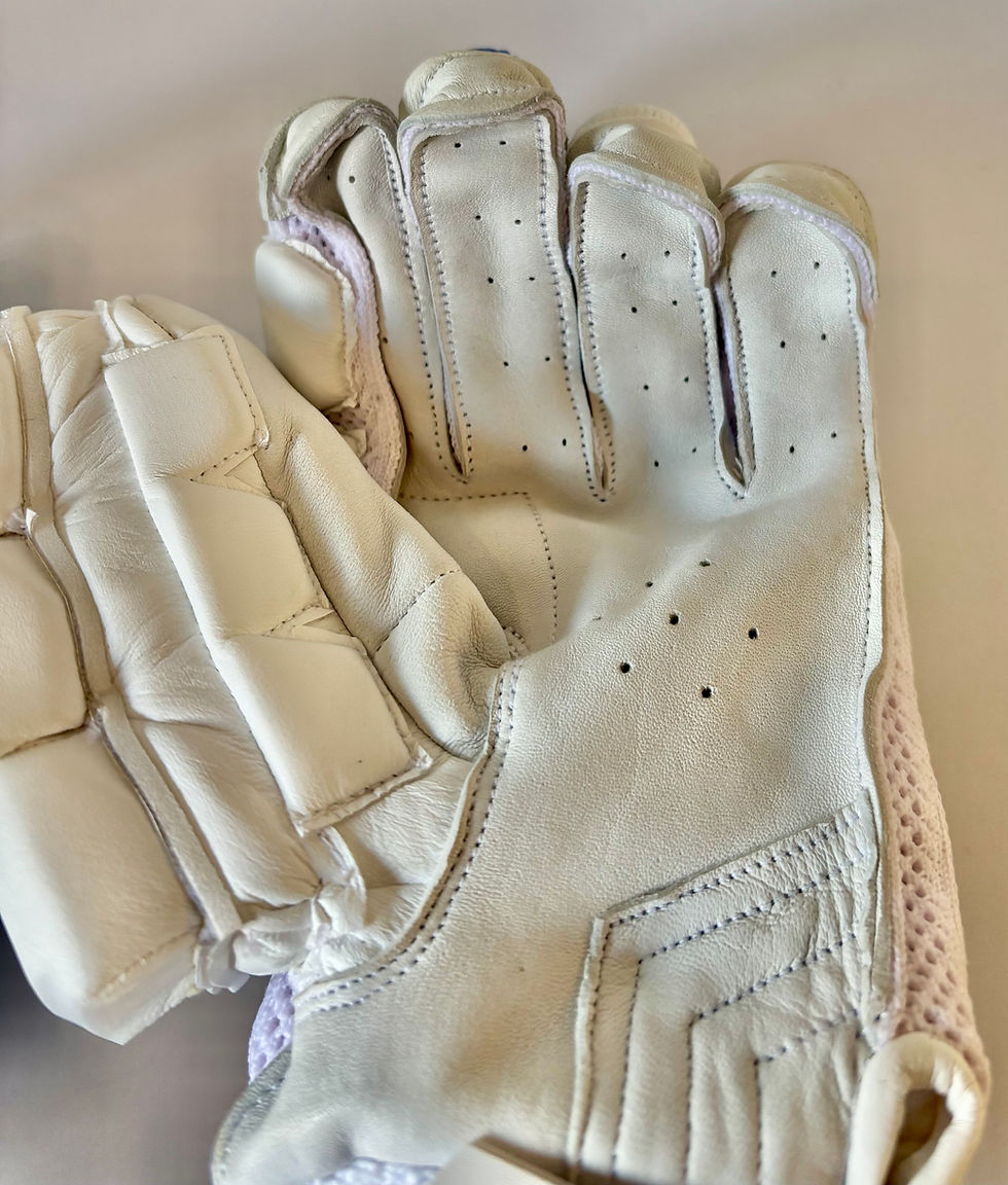 Thumbnail: Gloves and Pads Bundle